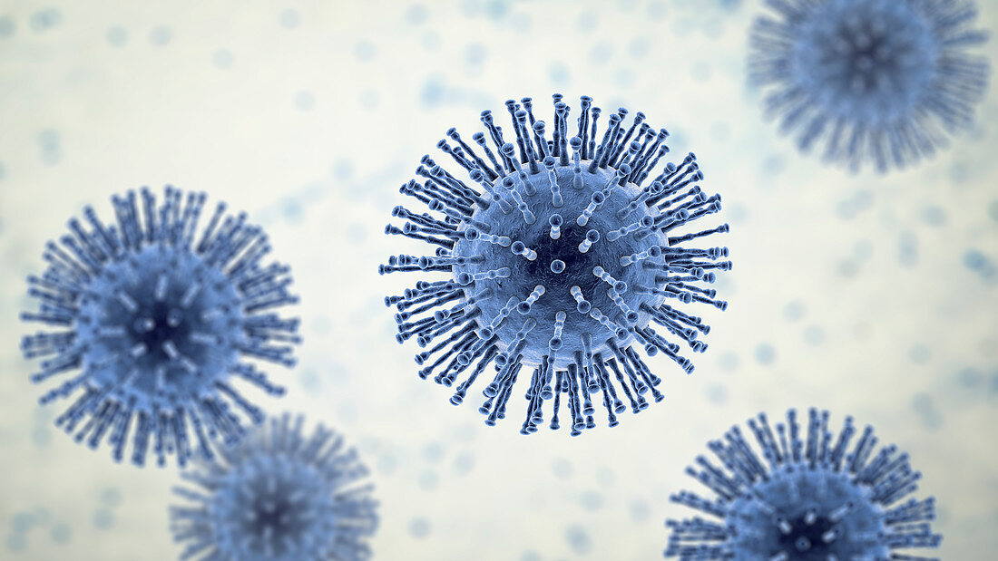 Coronavirus particles, illustration