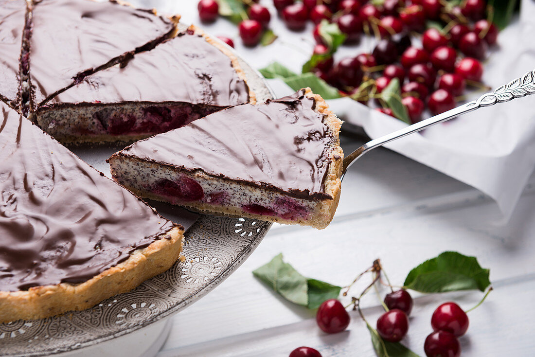 Veganer Mohnkuchen mit Quarkersatz, Süßkirschen und Zartbitterglasur