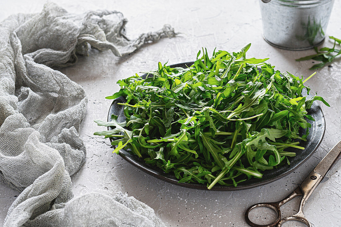 Rucola auf Teller