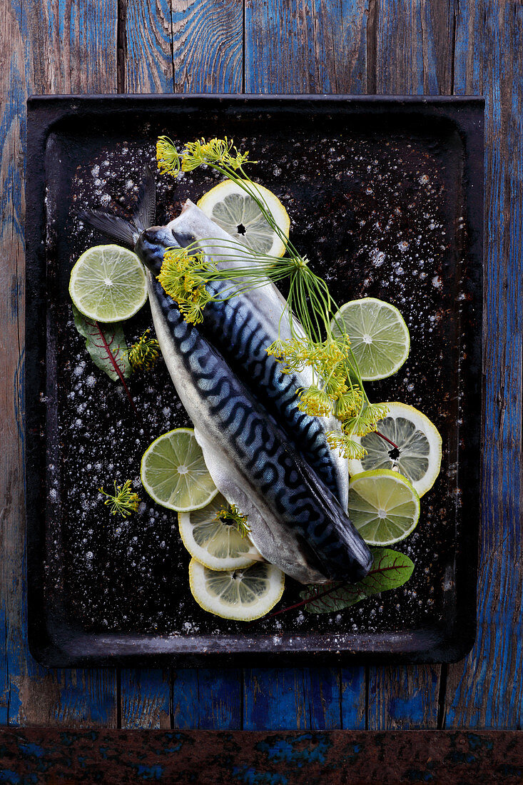 Fresh mackerel with limes and lemons