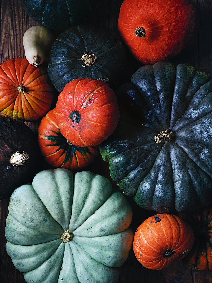 An arrangement of pumpkins including blue pumpkins
