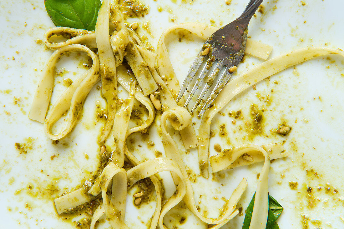 Tagliatelle with juicy texture covered with pesto salsa and decorated with fresh basil leaves
