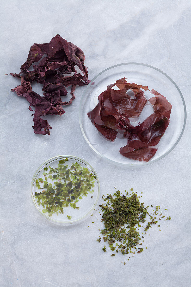 Dulse (oben) und Ulva (unten)