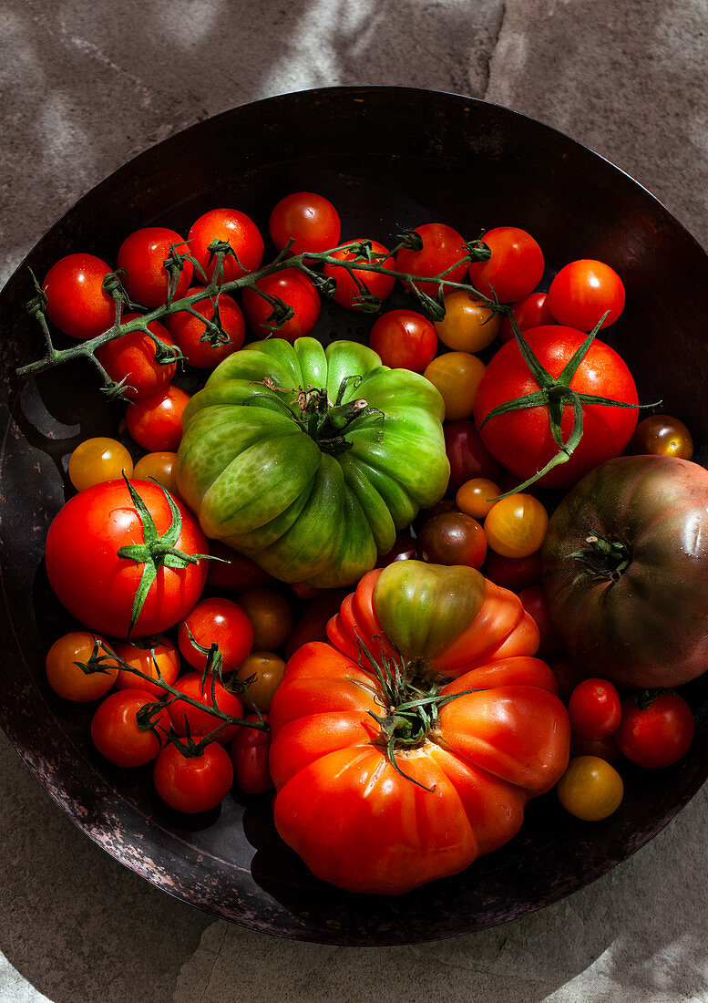 Verschiedene frische Tomaten in Metallschale
