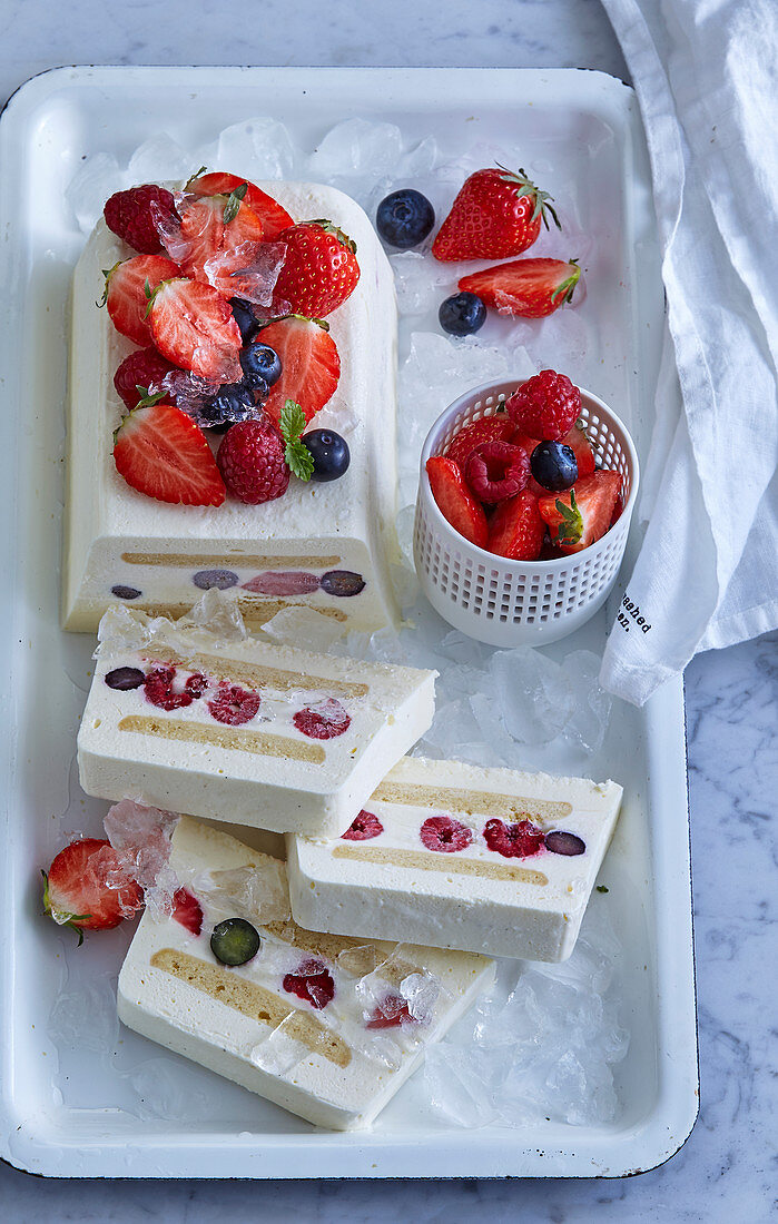 Ice cream brick with fruit and butter cookies