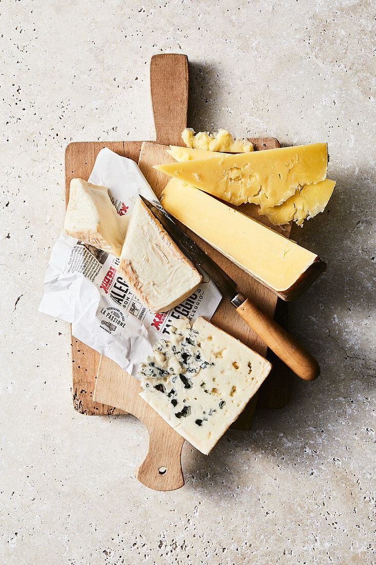 Blauschimmelkäse, Taleggio und Cheddar