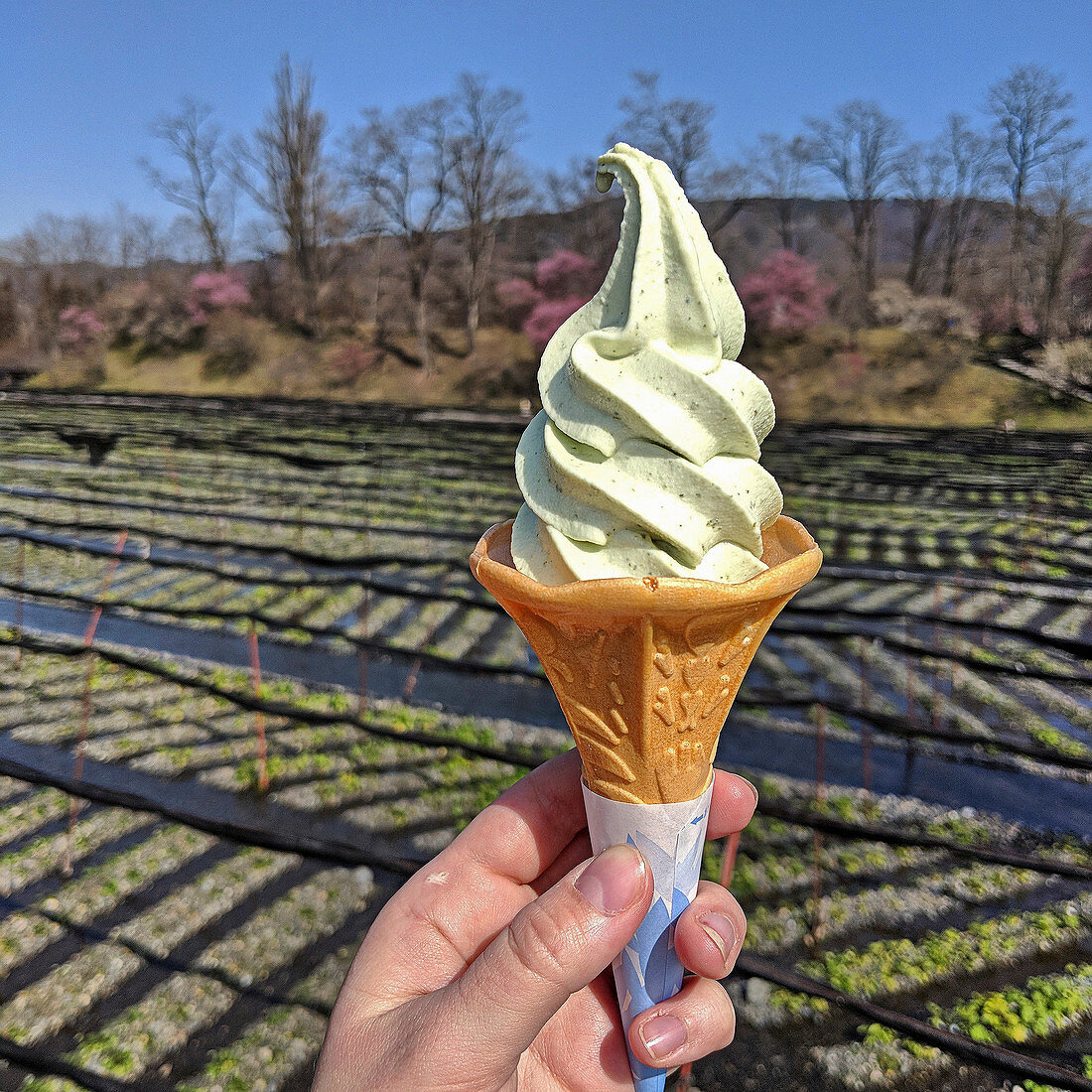 A hand holding an ice cream cone