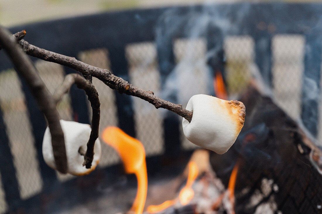 Marshmallows überm Feuer grillen