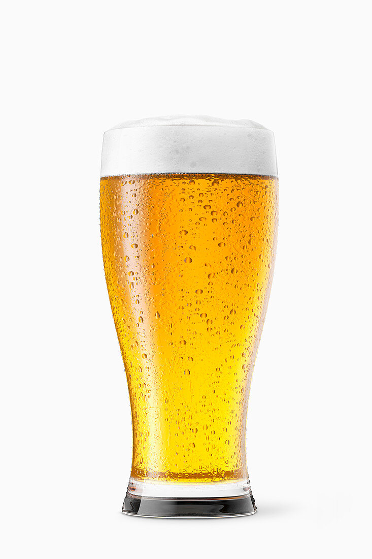 Ein Glas Bier vor weißem Hintergrund
