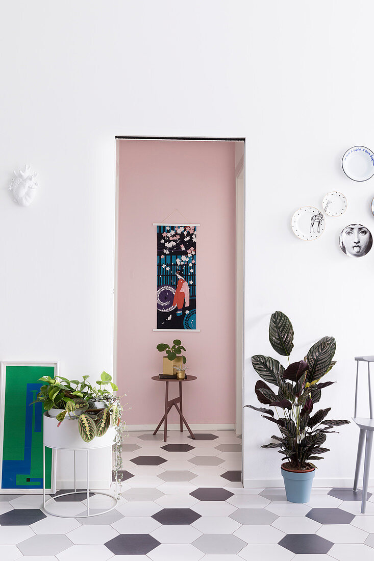 Houseplants flanking doorway leading into hallway with pink wall