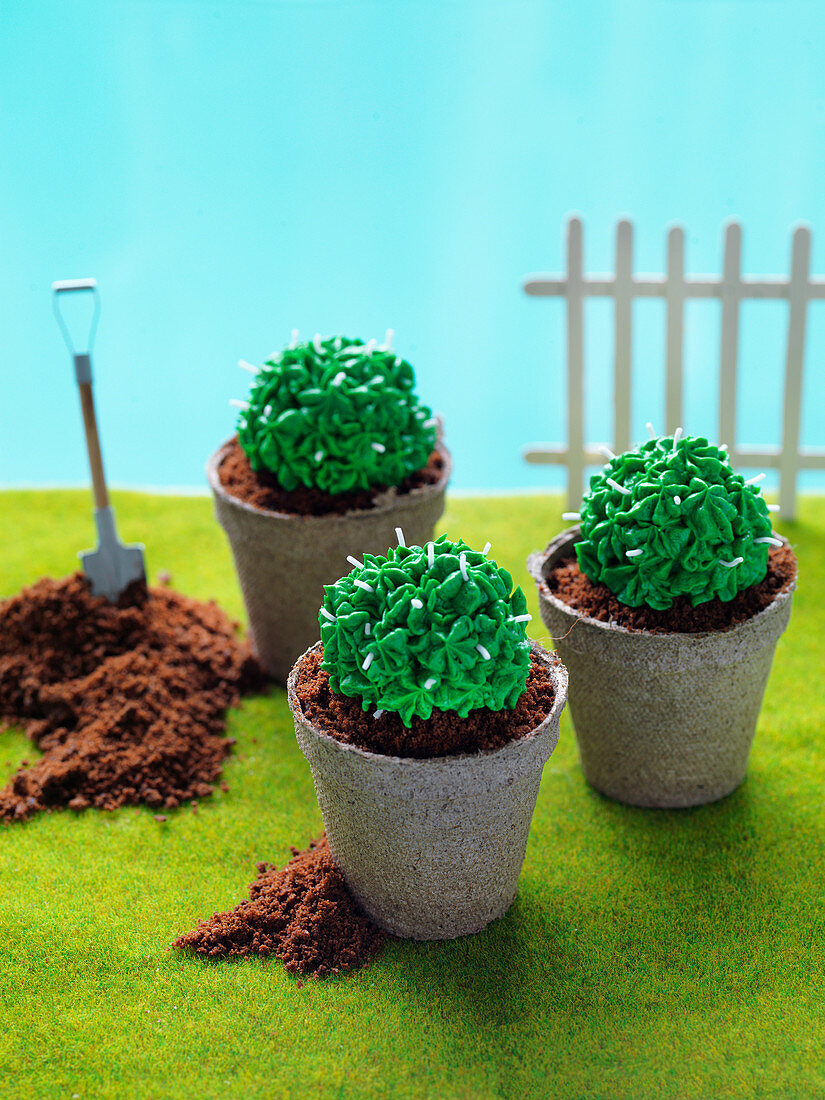 'Succulent garden' - round cactus cake