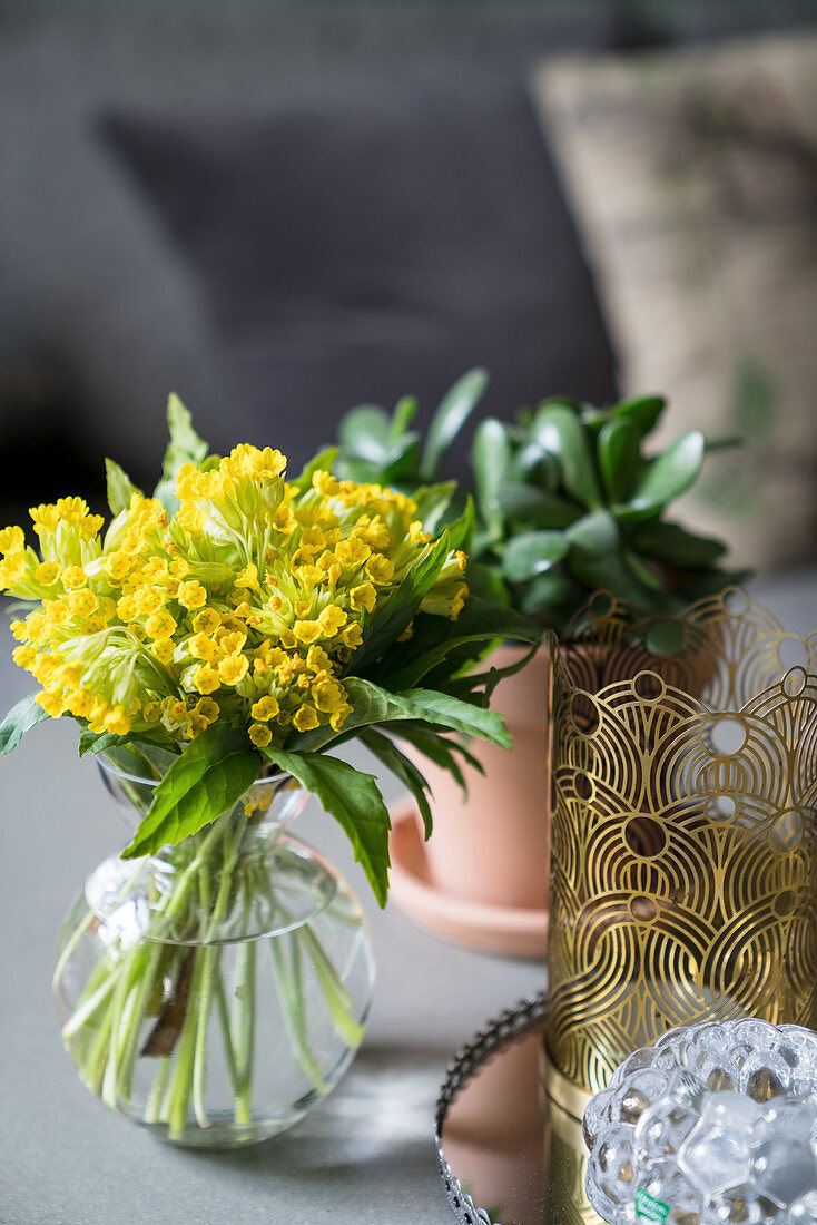 Posy of cowslips in glass vase