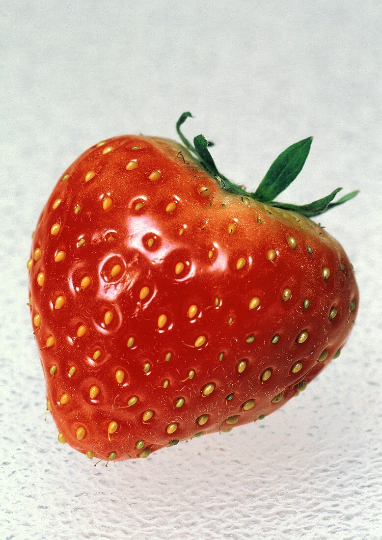 Close Up of a Single Strawberry