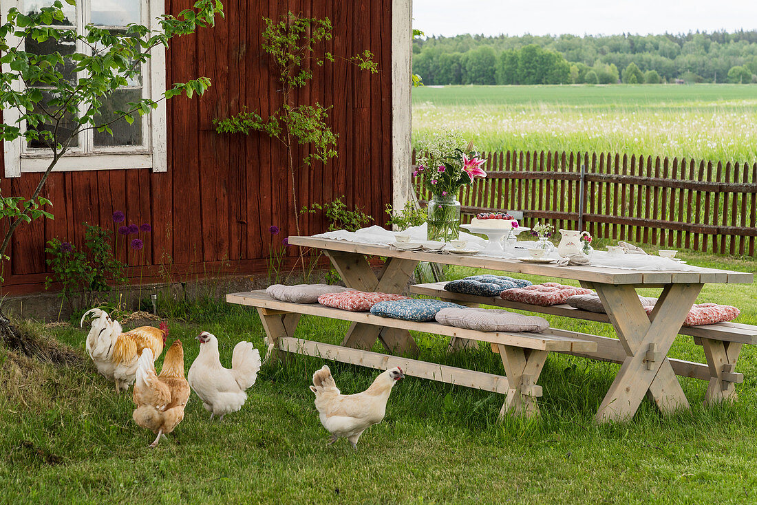 Hens around table and benches on lawn in garden
