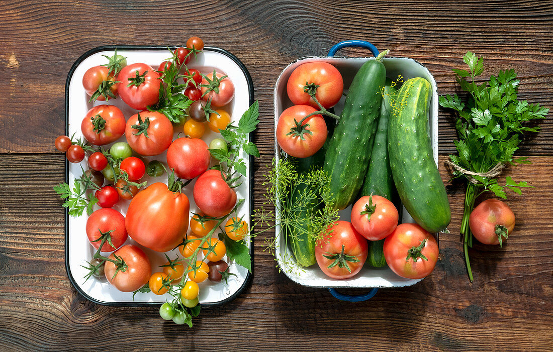 Verschiedene frische Tomaten, Gartengurken und Kräuter in Emaille-Gefäßen