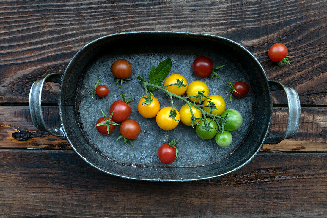 Different tomatoes in vintage jar