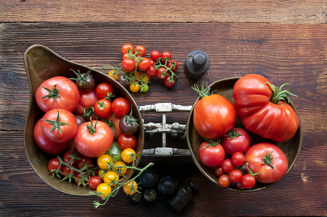 Different types of tomatoes in the pans of an antique kitchen scale