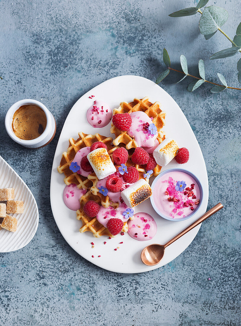 Sahne-Waffeln mit Himbeeren und gegrillten Marshmallows