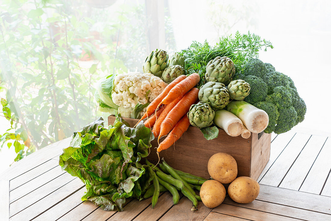 From above of harvest of various ripe vegetables placed in wooden box in garden