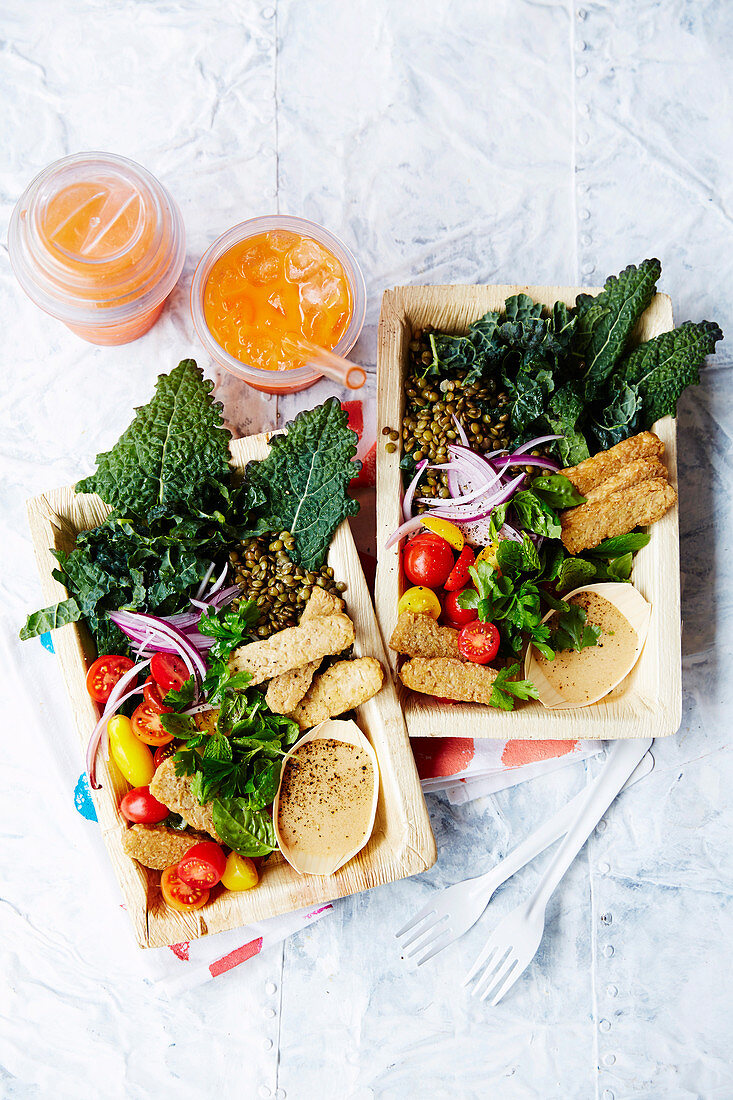 Grünkohl-Linsen-Salat mit Tempeh Cracker