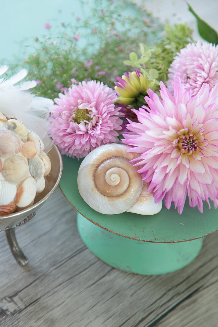 Dahlias arranged with snail shell