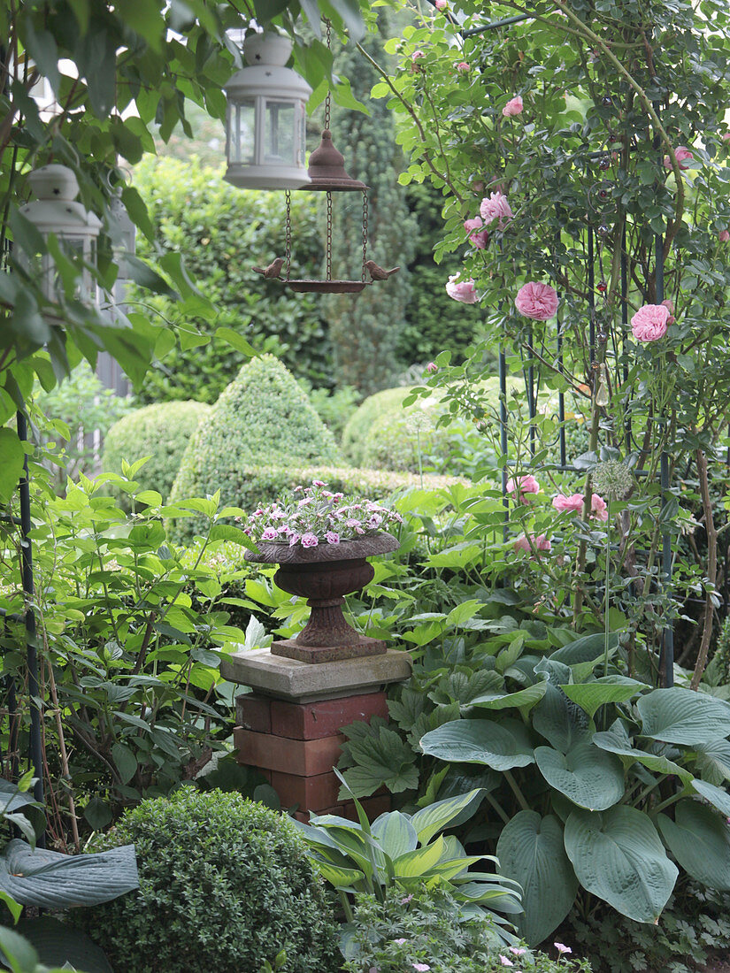 Arched Trellis with climbing rose 'Giardina', a column with flower planter between hostas, box, and hydrangeas