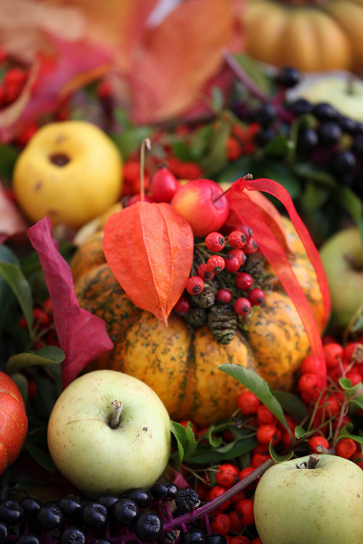 Herbstdeko mit Kürbis, Äpfeln, Vogelbeeren und Lampionblume