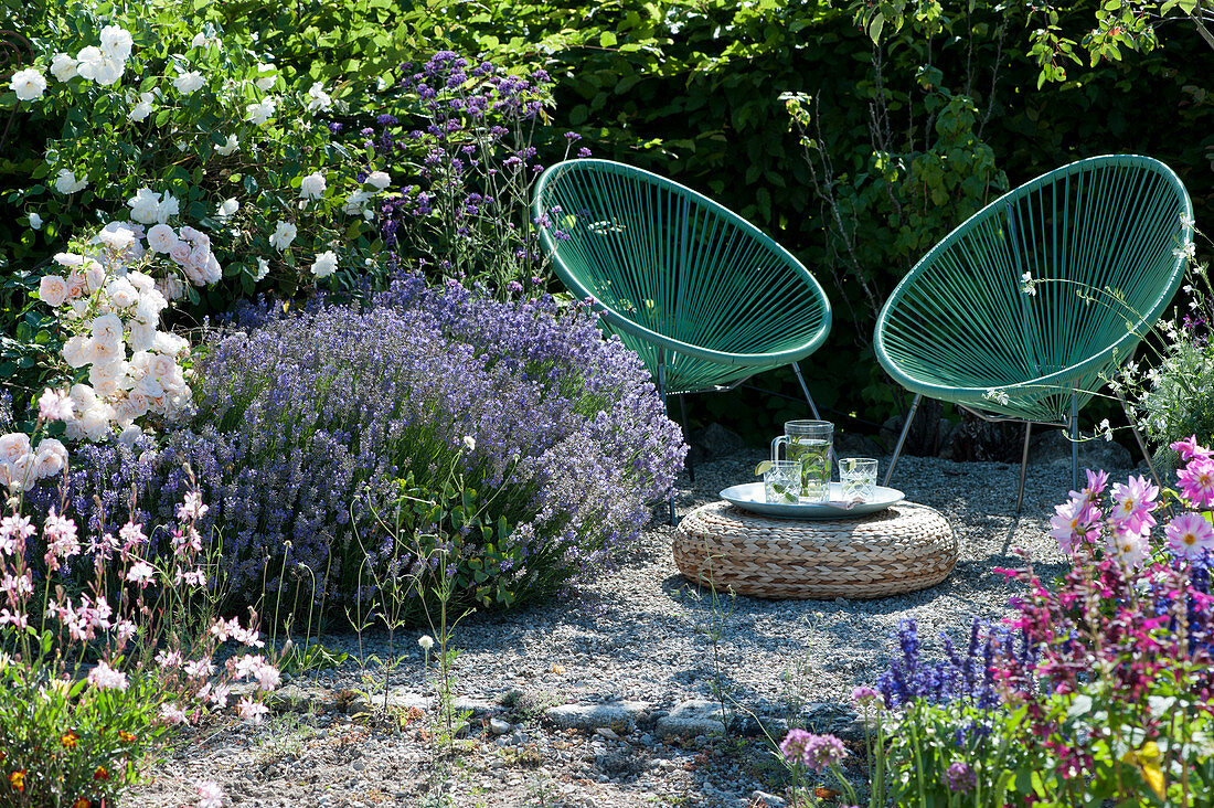 Seat to relax in the garden next to lavender and roses