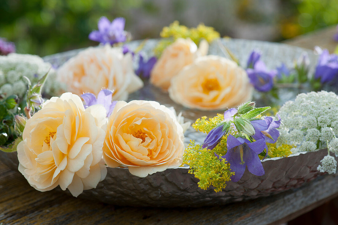 Bowl with yellow rose petals, bluebells, bedstraw and cartilage carrots in the water