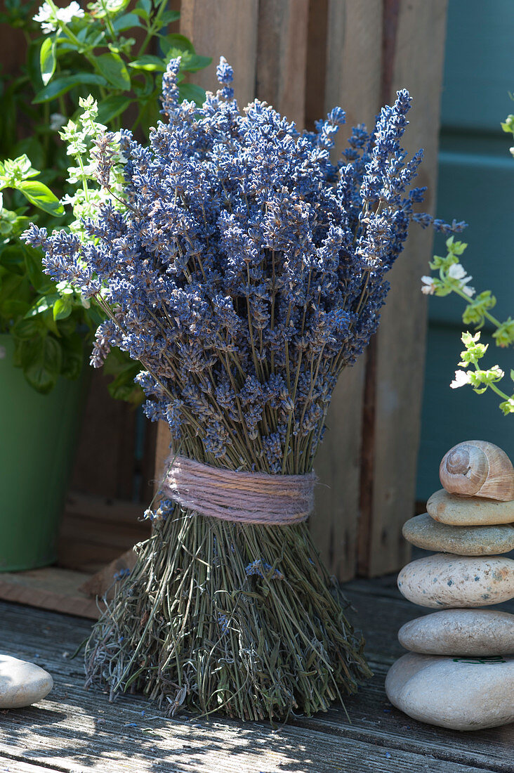 Stehstrauß aus getrocknetem Lavendel