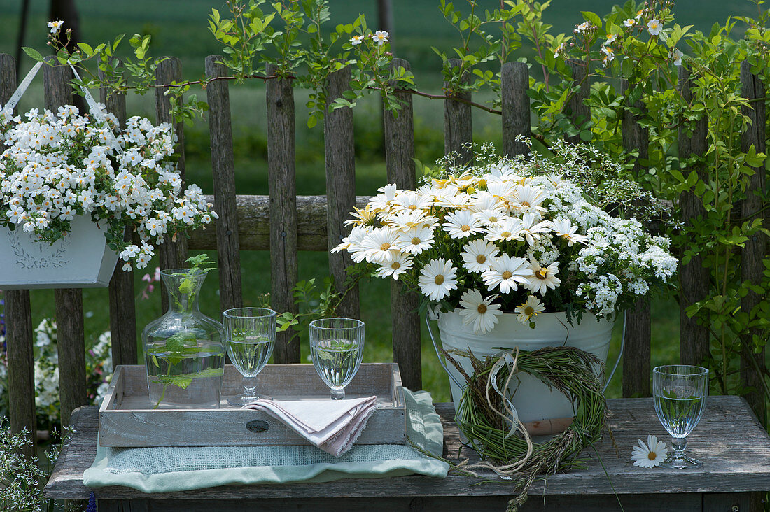 Welcome arrangement with snowflake flower, Cape daisy, verbena, magic snow, grass wreath, carafe and glasses on bench by the fence