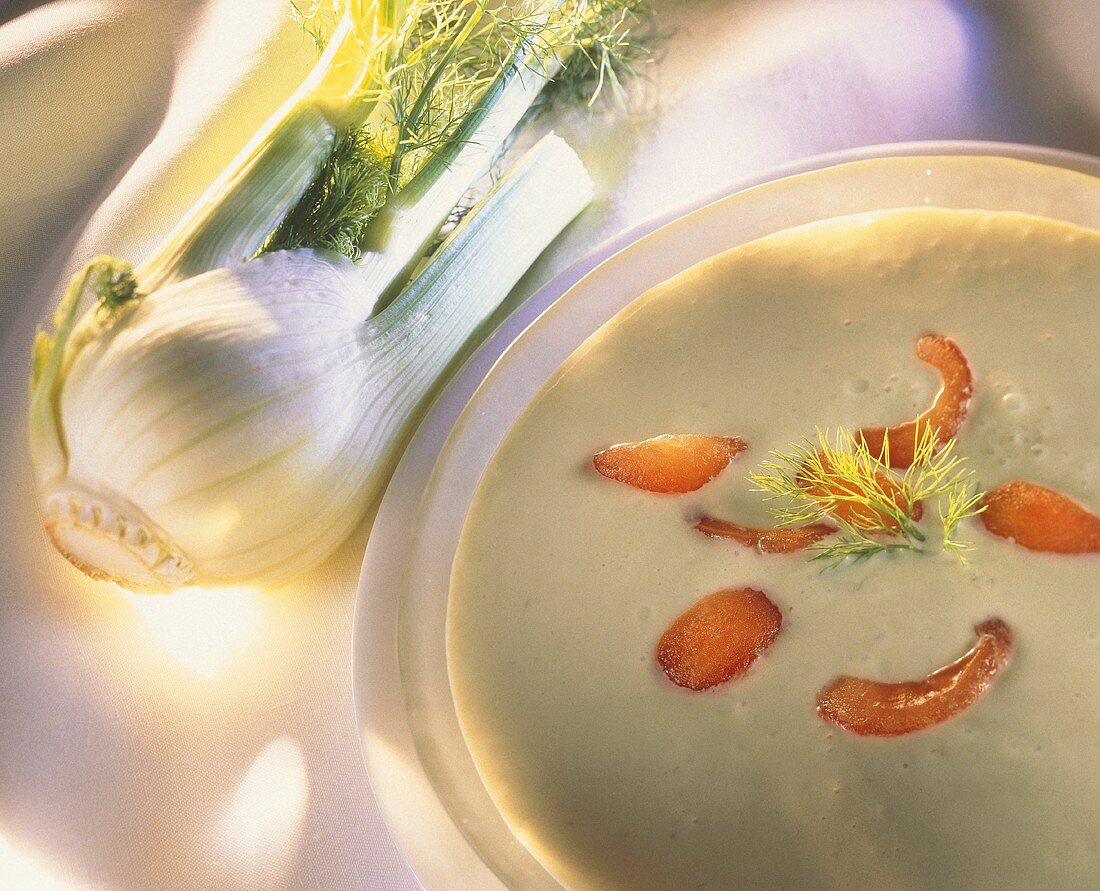 Cold creamed fennel soup