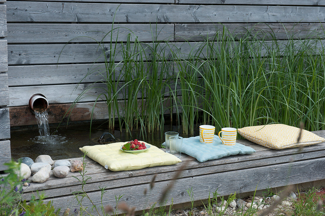 Cyprus grass in the water basin as a sewage treatment plant for the swimming pool, pool edge with cushions as a seat