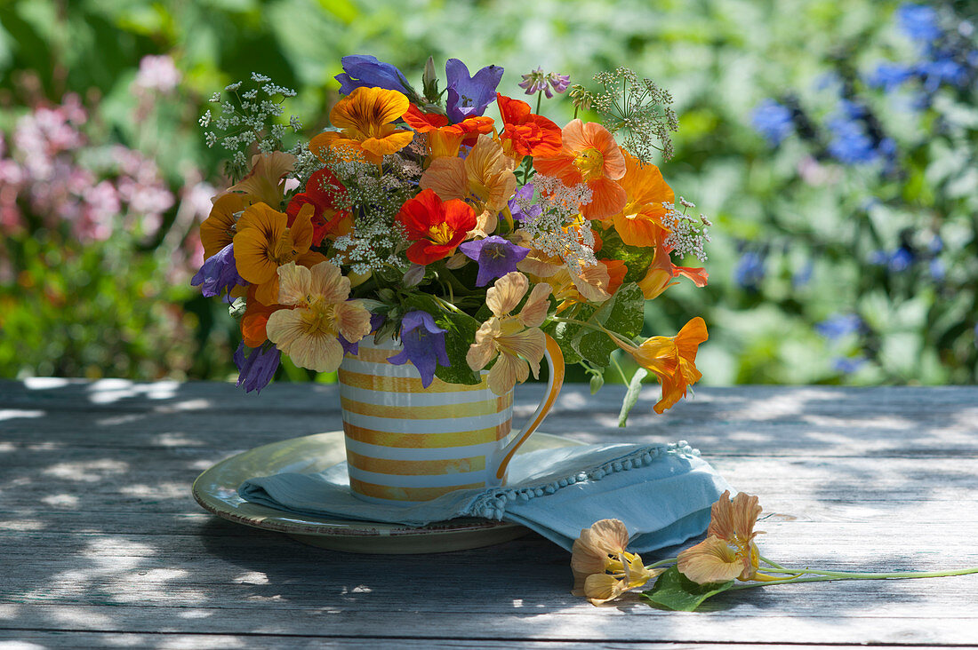 Bouquet of nasturtiums, bluebells and cumin in a coffee mug