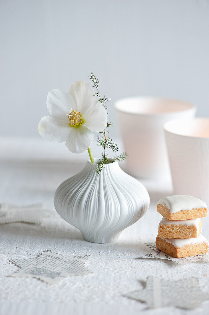 Christrosen-Blüte und Zierspargel in Vase