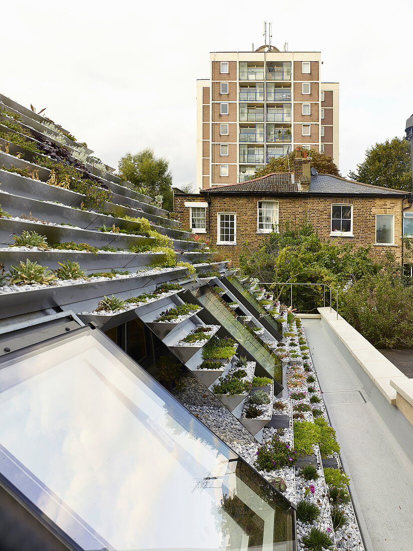 View across terraced roof garden