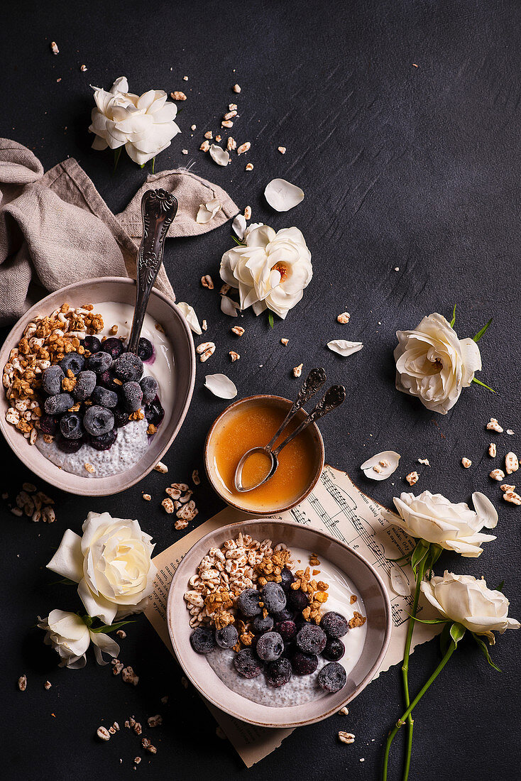 Natural yoghurt with granola, chia pudding, frozen blueberries and honey