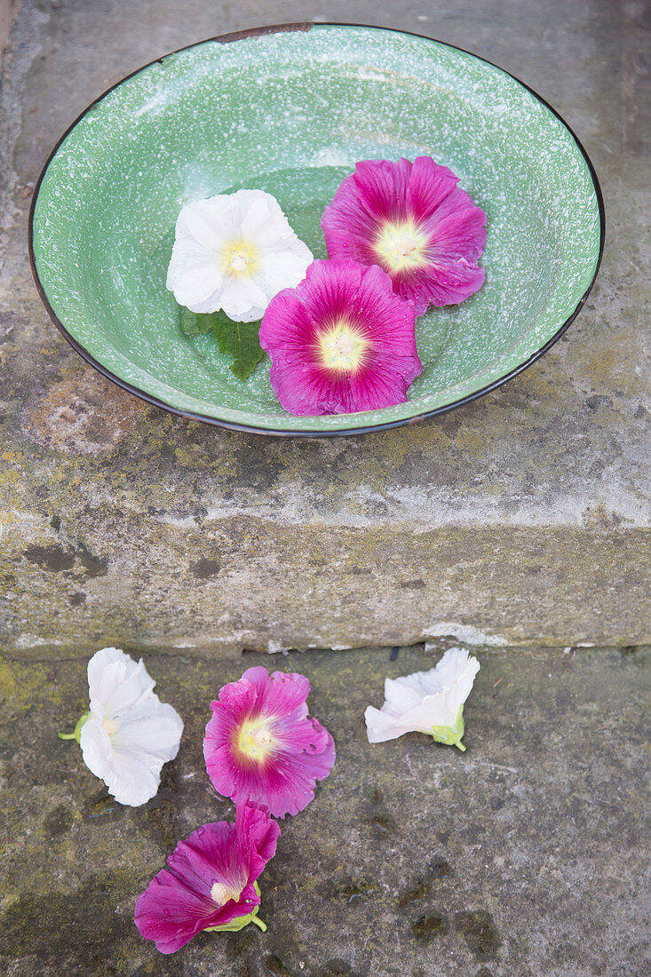 Lilac and white hollyhock flowers in green bowl