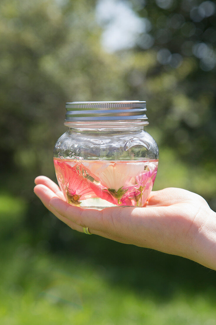 Homemade mallow oil (helps with dry skin and liver spots)