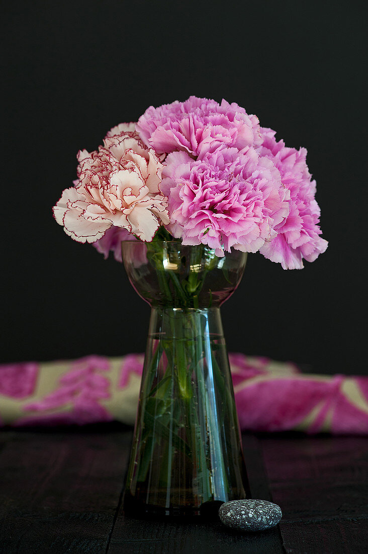 Vase of carnations