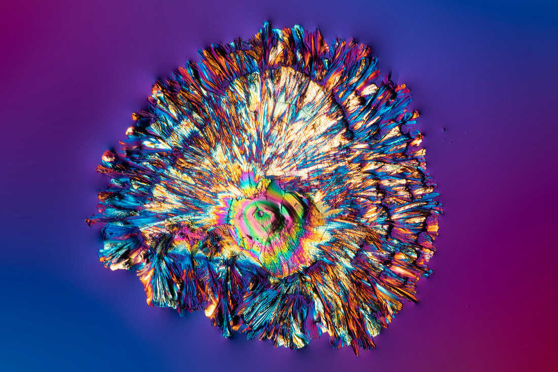 Mojito cocktail, polarised light micrograph