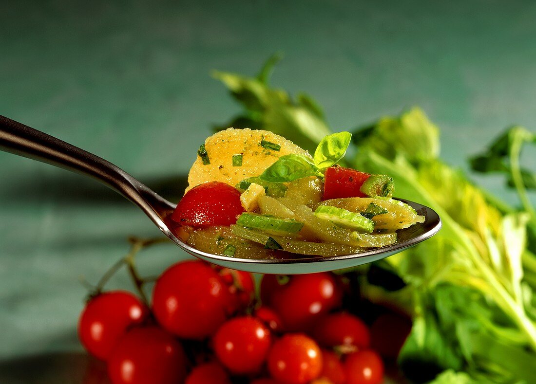 Kartoffel-Gemüse-Salat auf Löffel, Deko: frisches Gemüse