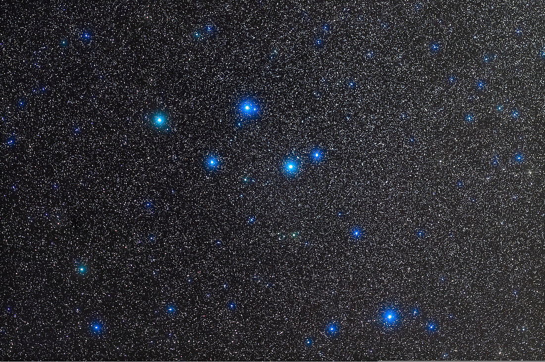Constellation of Delphinus