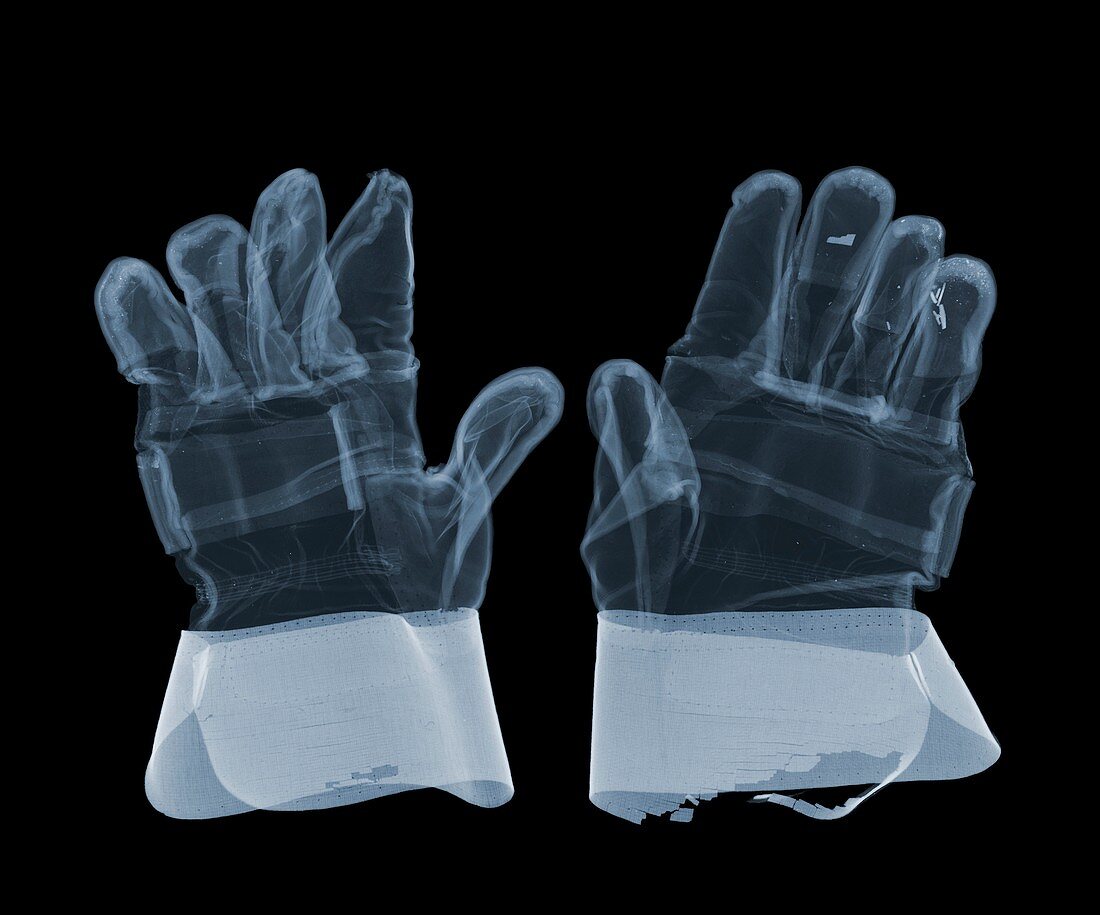 Pair of work gloves, X-ray