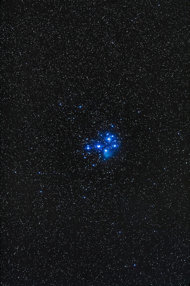 Pleiades Star Cluster