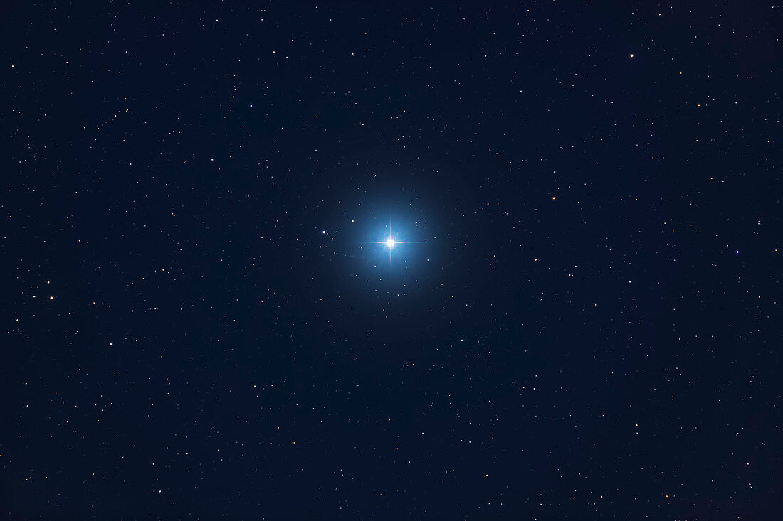 Small Dog Star in Canis Minor