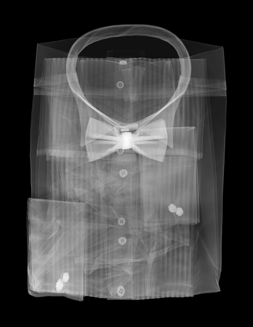 Dress shirt and bowtie, X-ray