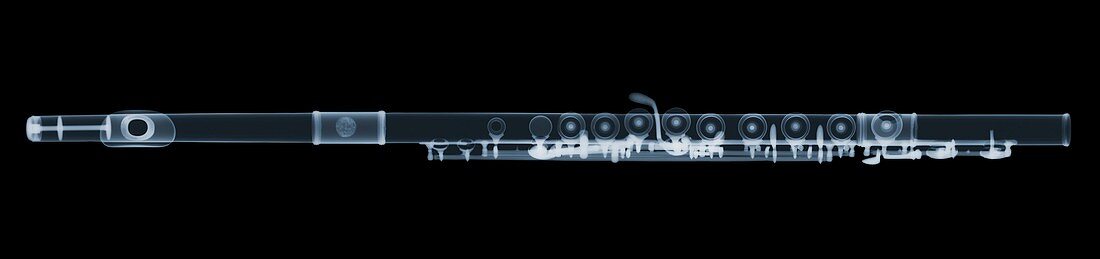 Flute, X-ray