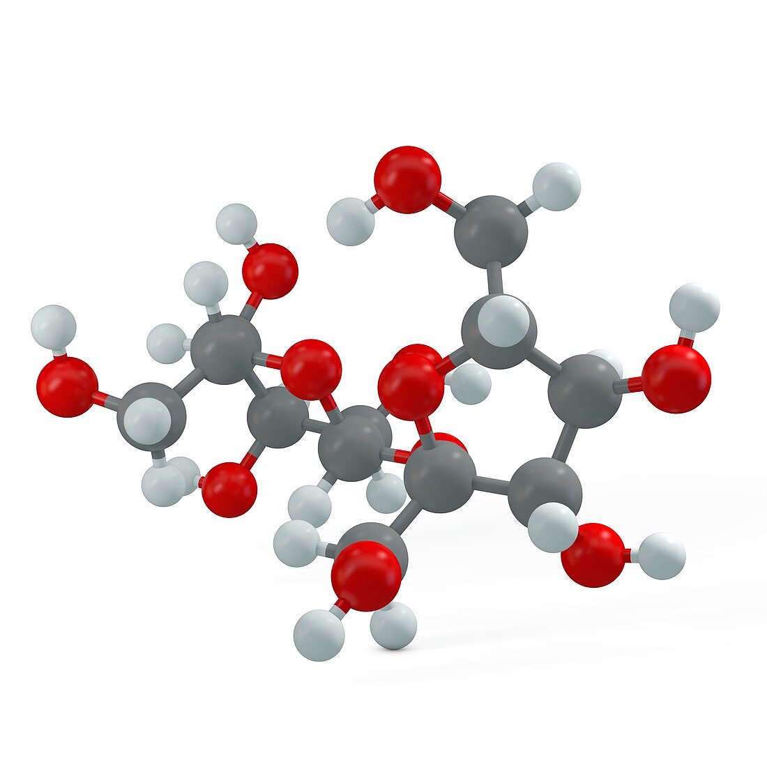 Sucrose molecule, illustration