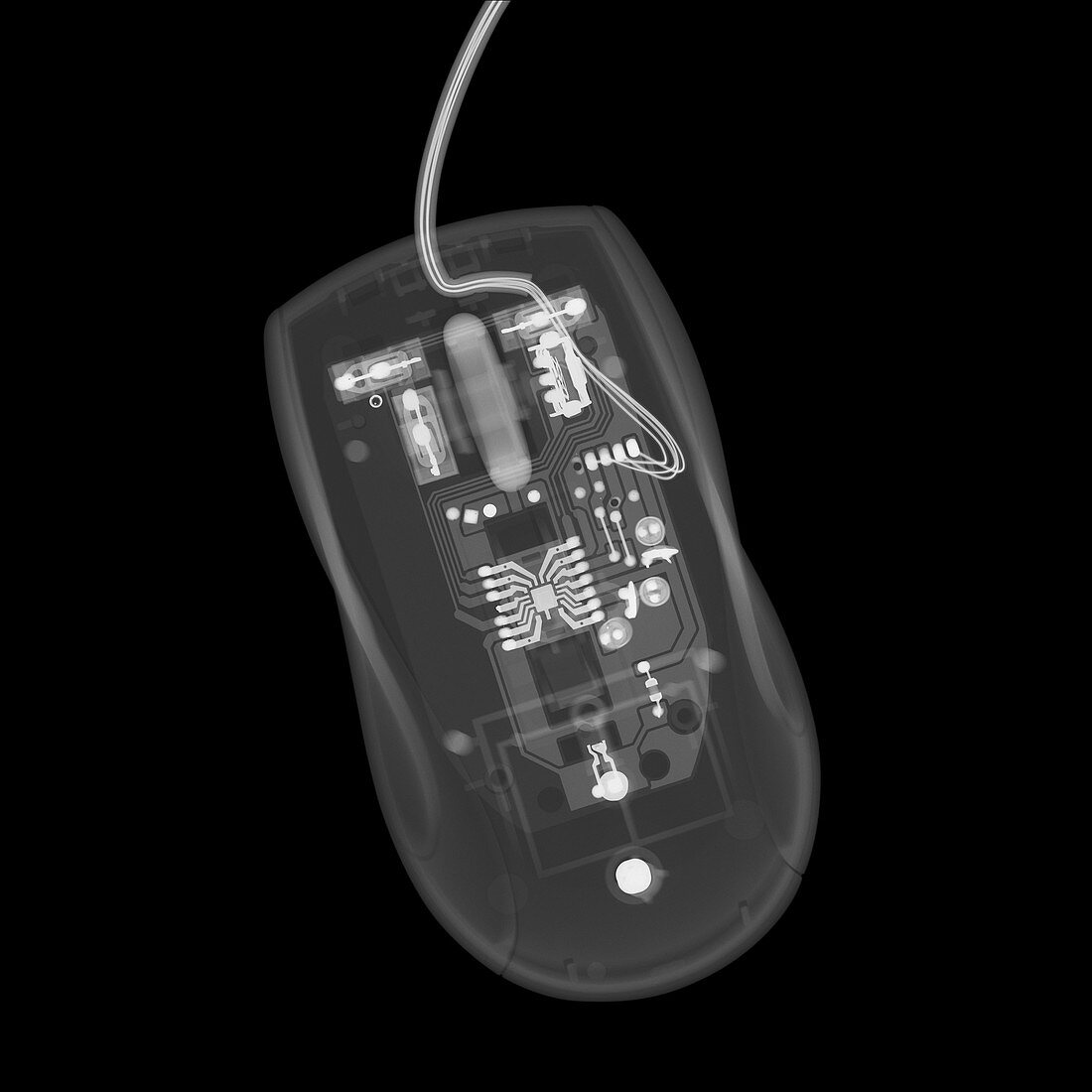 Computer mouse, X-ray